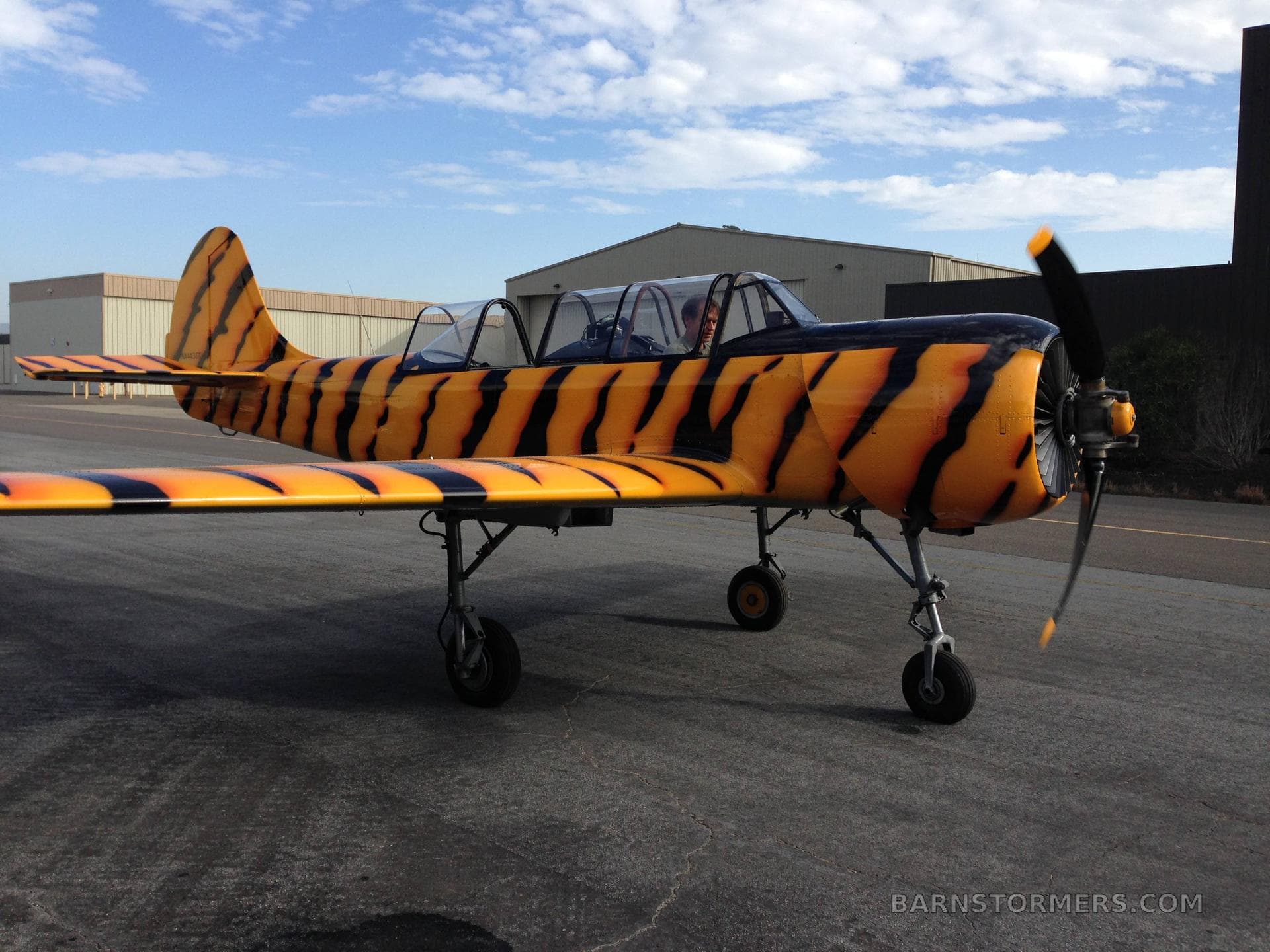 1984 YAK-52 FOR SALE