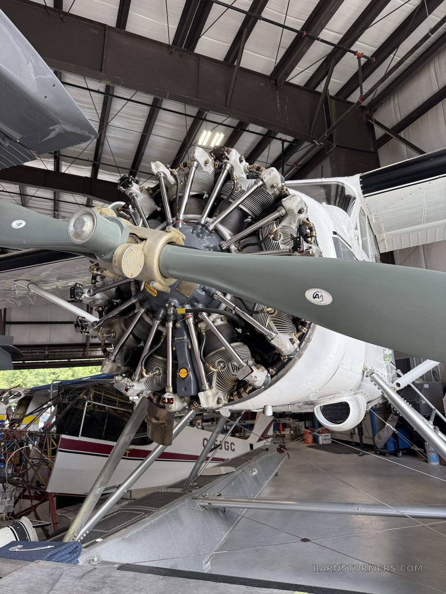 1954 DEHAVILLAND DHC-2 MK I photo 4