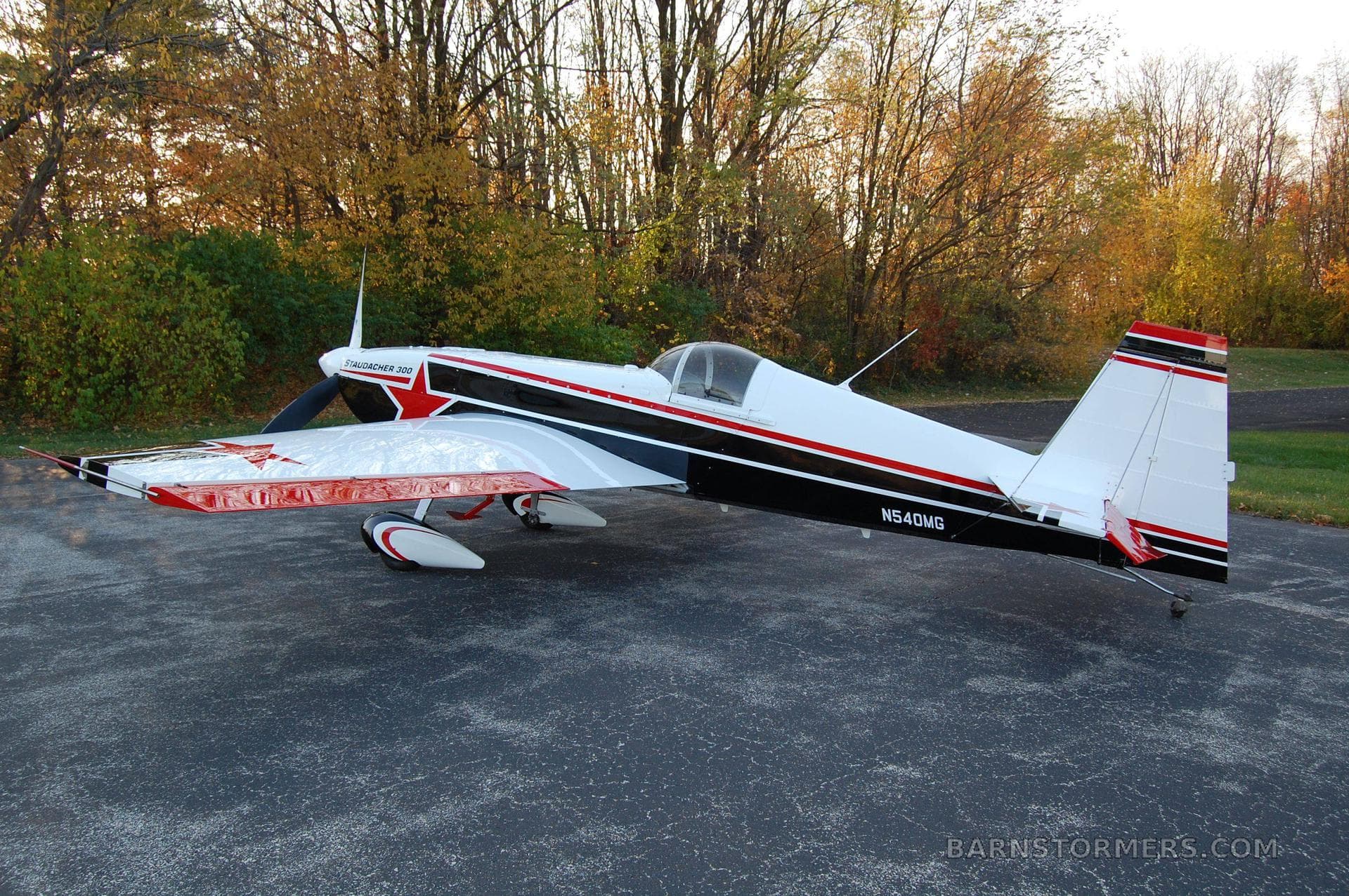 STAUDACHER S-300 AEROBATIC photo 5