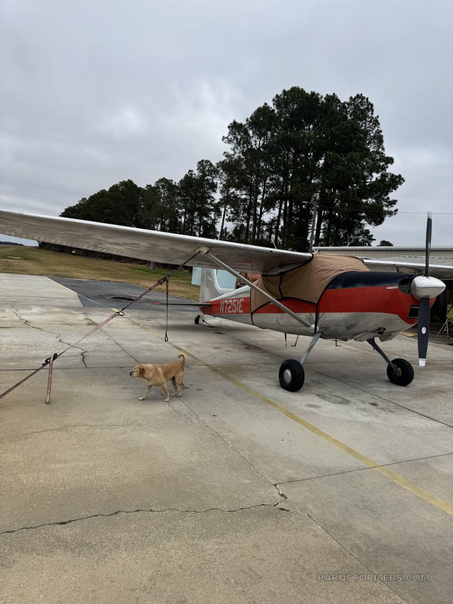 1959 CESSNA 182TW photo 3