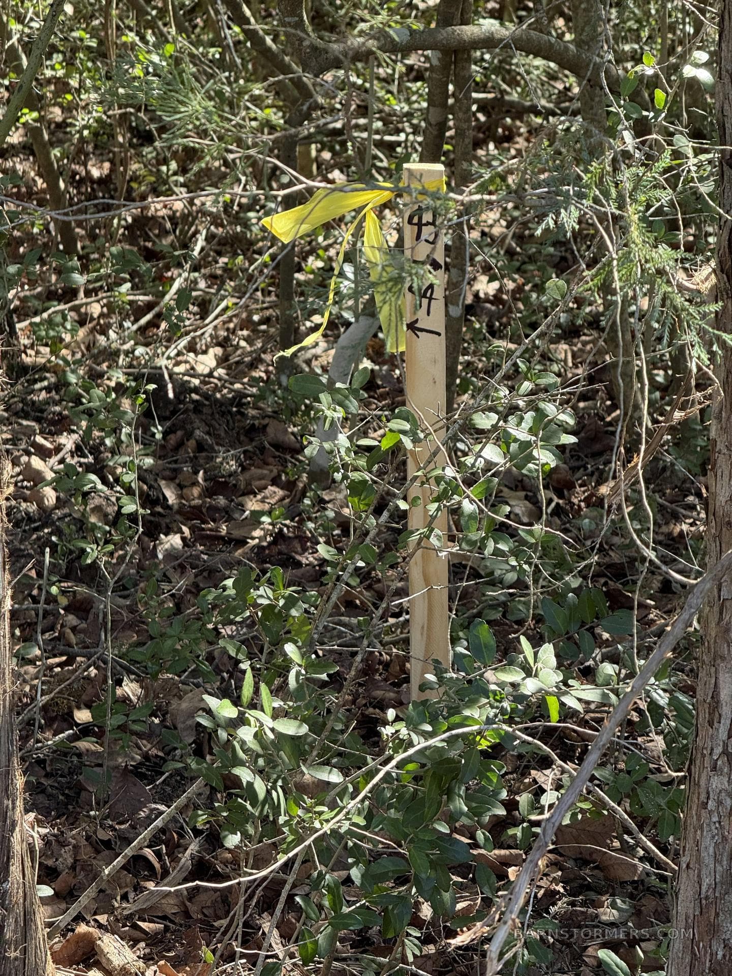 HILLTOP LAKES AIRPORT LOTS photo 4